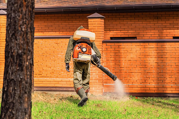 Bed Bug Clearance Verification and Documentation in Lone Jack